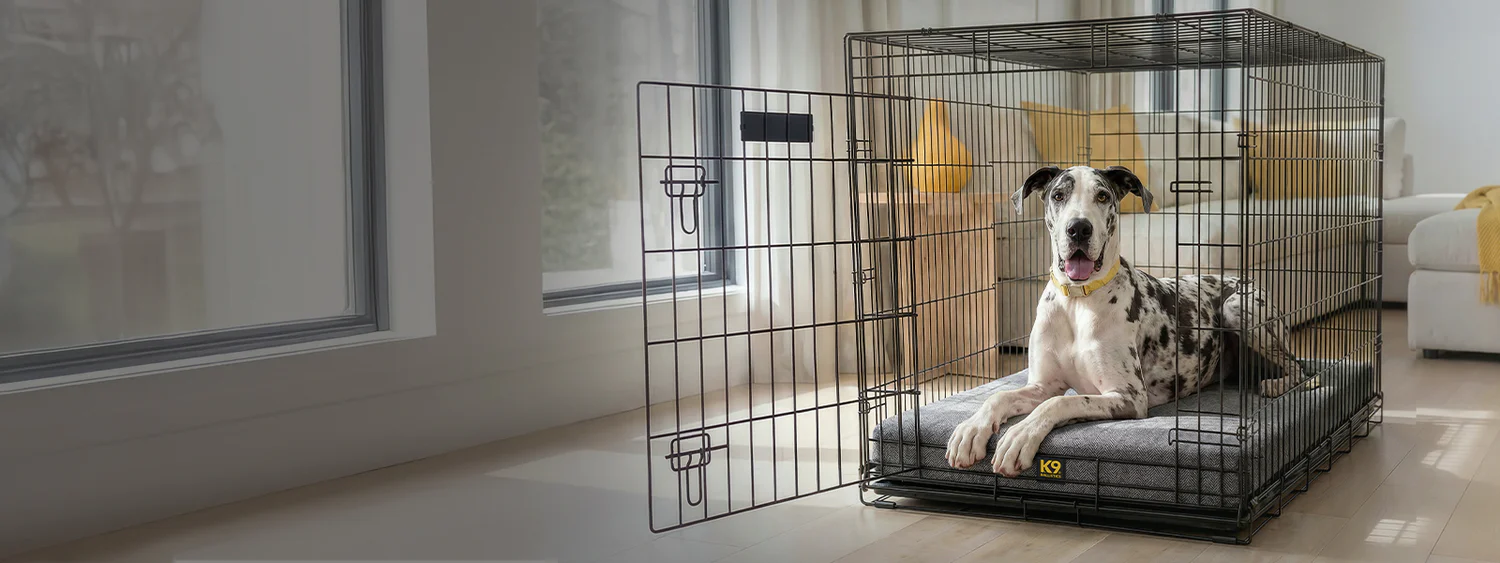 Welcome to Our Store